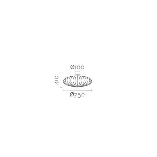 C10905-75 OVAL - Imagen 2