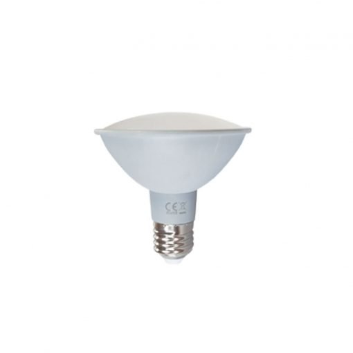 LED PAR30 10W